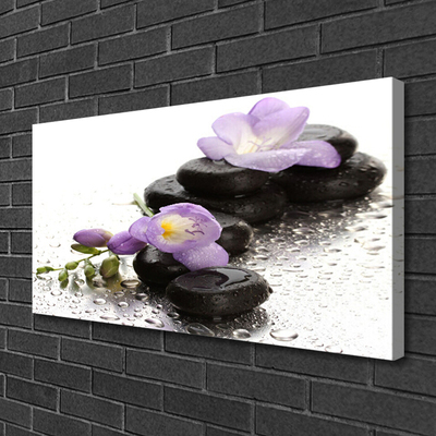 Leinwand-Bilder Blumen Steine Kunst