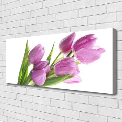 Leinwand-Bilder Tulpen Pflanzen