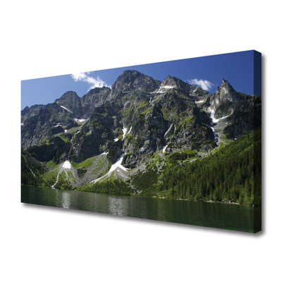 Leinwand-Bilder Gebirge See Wald Landschaft