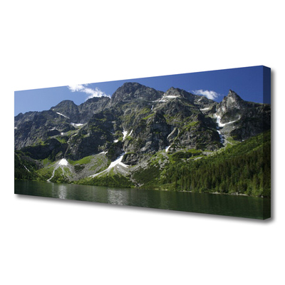 Leinwand-Bilder Gebirge See Wald Landschaft