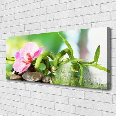 Leinwand-Bilder Bambusrohr Blume Steine Natur