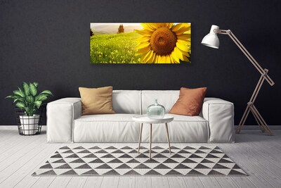 Leinwand-Bilder Sonnenblume Pflanzen