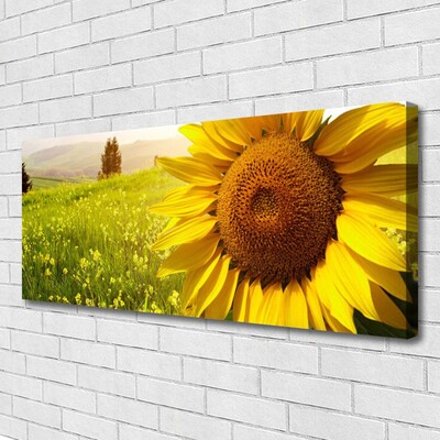 Leinwand-Bilder Sonnenblume Pflanzen