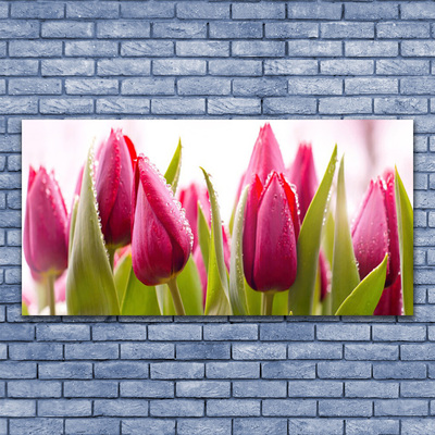 Leinwand-Bilder Tulpen Pflanzen