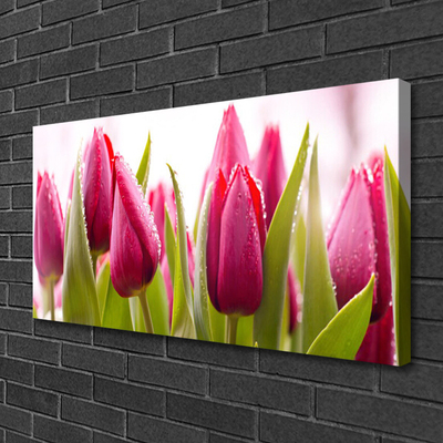 Leinwand-Bilder Tulpen Pflanzen