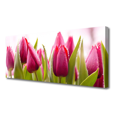 Leinwand-Bilder Tulpen Pflanzen