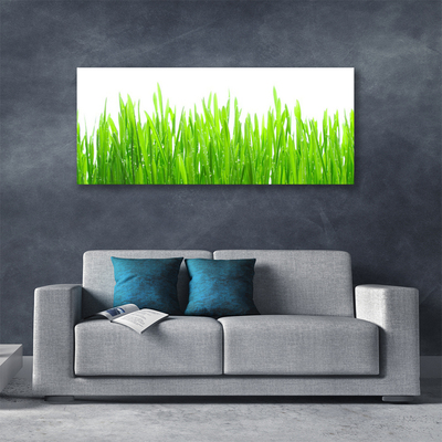 Leinwand-Bilder Gras Natur