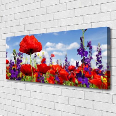 Leinwand-Bilder Blumen Pflanzen