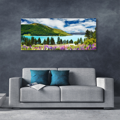 Leinwand-Bilder Gebirge Wald See Wiese Landschaft