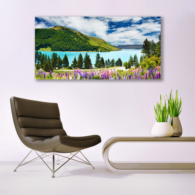 Leinwand-Bilder Gebirge Wald See Wiese Landschaft