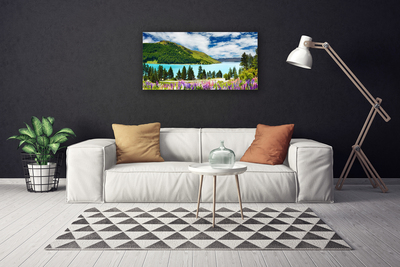 Leinwand-Bilder Gebirge Wald See Wiese Landschaft