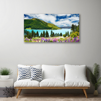 Leinwand-Bilder Gebirge Wald See Wiese Landschaft