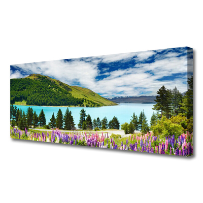 Leinwand-Bilder Gebirge Wald See Wiese Landschaft