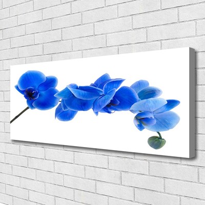 Leinwand-Bilder Blume Pflanzen