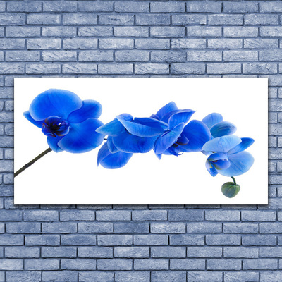 Leinwand-Bilder Blume Pflanzen