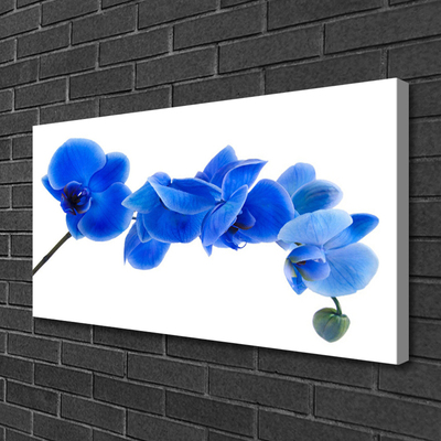 Leinwand-Bilder Blume Pflanzen