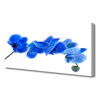 Leinwand-Bilder Blume Pflanzen