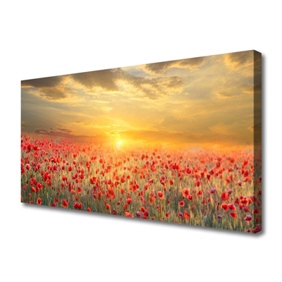 Leinwand-Bilder Sonne Wiese Mohnblumen Natur