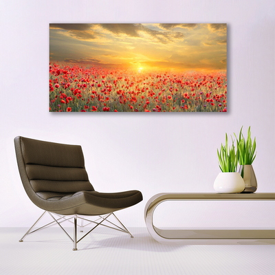 Leinwand-Bilder Sonne Wiese Mohnblumen Natur