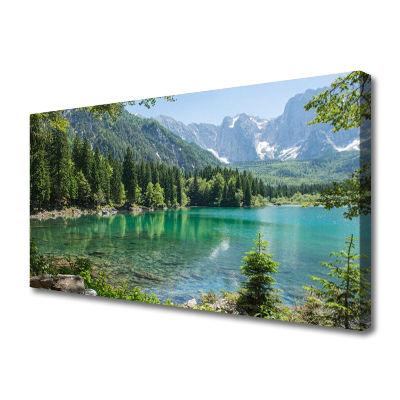 Leinwand-Bilder Gebirge See Wald Natur