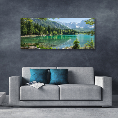 Leinwand-Bilder Gebirge See Wald Natur