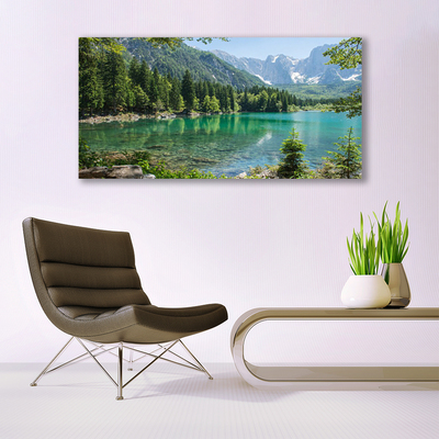 Leinwand-Bilder Gebirge See Wald Natur