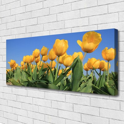 Leinwand-Bilder Tulpen Pflanzen