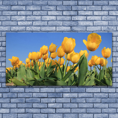 Leinwand-Bilder Tulpen Pflanzen