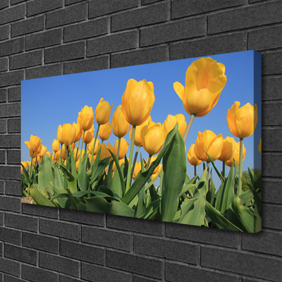 Leinwand-Bilder Tulpen Pflanzen