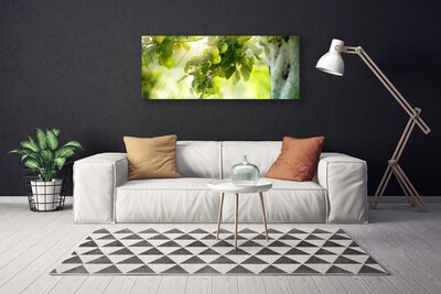 Leinwand-Bilder Zweig Äpfel Küche