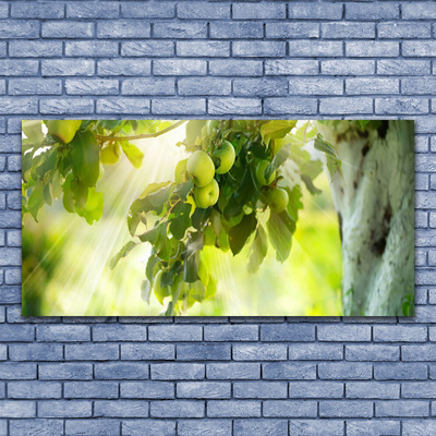 Leinwand-Bilder Zweig Äpfel Küche