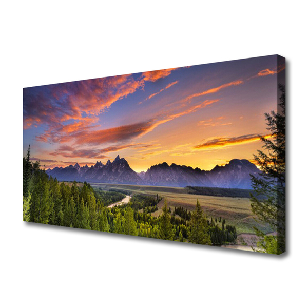 Leinwand-Bilder Gebirge Wald Natur