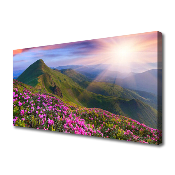 Leinwand-Bilder Gebirge Wiese Blumen Landschaft