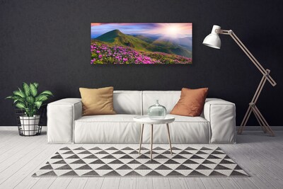 Leinwand-Bilder Gebirge Wiese Blumen Landschaft