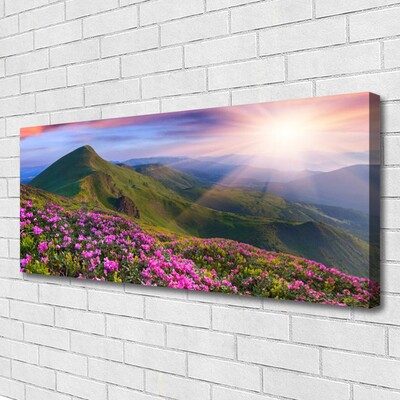 Leinwand-Bilder Gebirge Wiese Blumen Landschaft