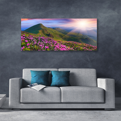 Leinwand-Bilder Gebirge Wiese Blumen Landschaft