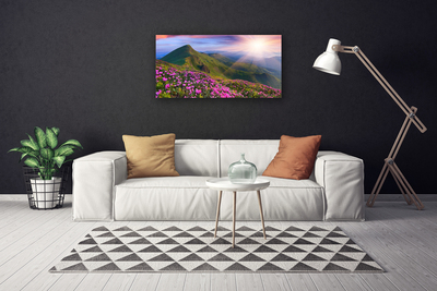 Leinwand-Bilder Gebirge Wiese Blumen Landschaft