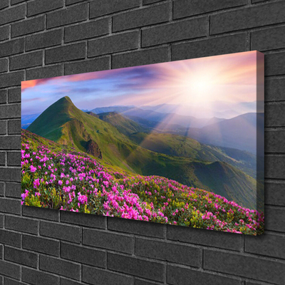 Leinwand-Bilder Gebirge Wiese Blumen Landschaft