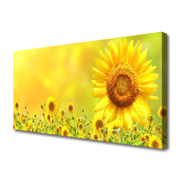 Leinwand-Bilder Sonnenblumen Pflanzen