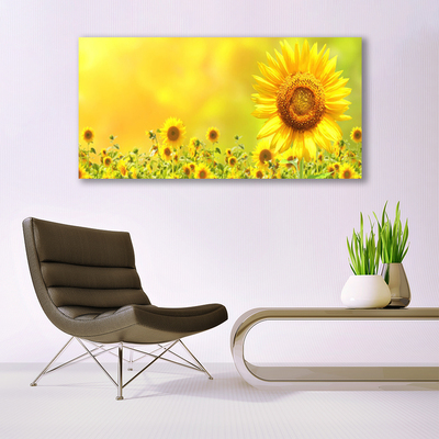 Leinwand-Bilder Sonnenblumen Pflanzen