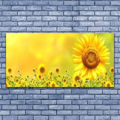 Leinwand-Bilder Sonnenblumen Pflanzen