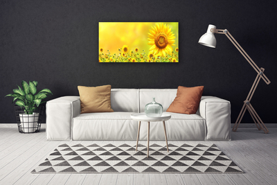 Leinwand-Bilder Sonnenblumen Pflanzen