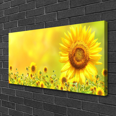 Leinwand-Bilder Sonnenblumen Pflanzen