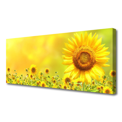 Leinwand-Bilder Sonnenblumen Pflanzen