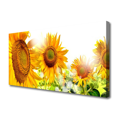 Leinwand-Bilder Sonnenblumen Pflanzen