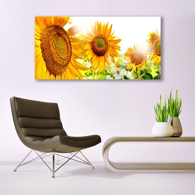 Leinwand-Bilder Sonnenblumen Pflanzen