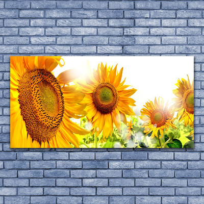 Leinwand-Bilder Sonnenblumen Pflanzen