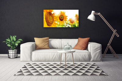 Leinwand-Bilder Sonnenblumen Pflanzen