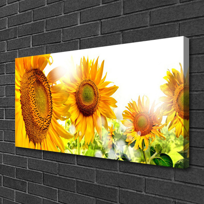 Leinwand-Bilder Sonnenblumen Pflanzen