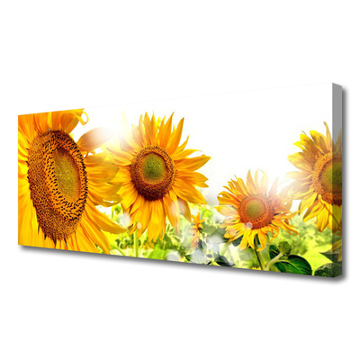 Leinwand-Bilder Sonnenblumen Pflanzen